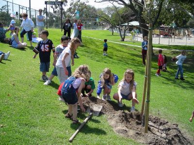 Planting Our "Midwife Tree"